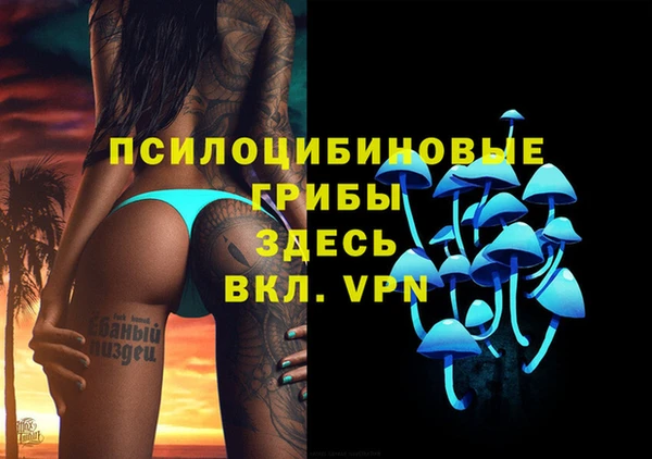 спиды Арсеньев