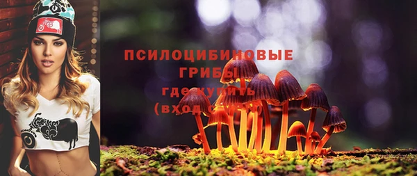 спиды Арсеньев