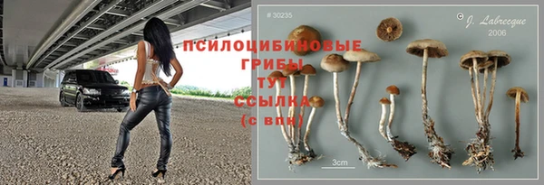 спиды Арсеньев